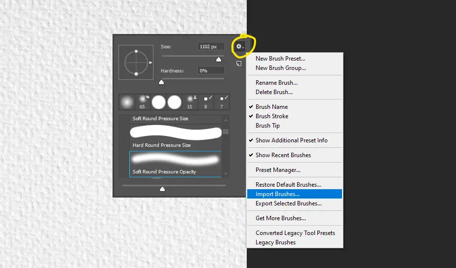 Click the settings icon and select import brushes
