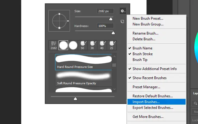 Import brushes