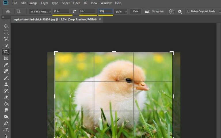 How to change the aspect ratio in Photoshop the right way - Graphics Mob