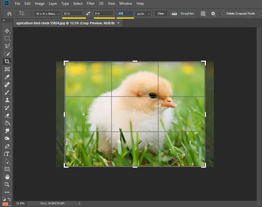 how to change aspect ratio in photoshop