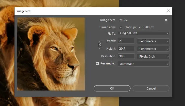 reducing image size in photoshop