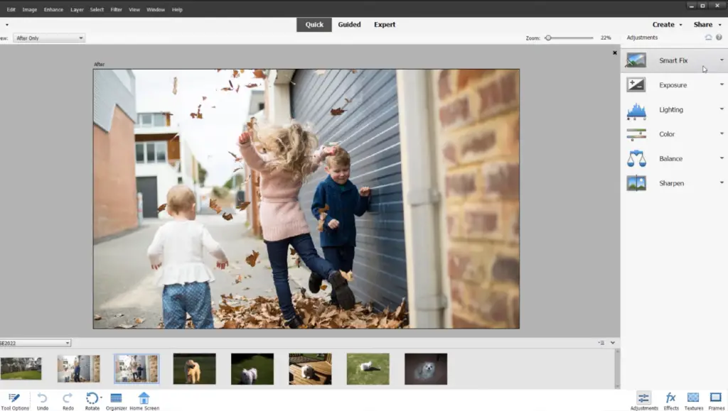 photoshop elements quick mode