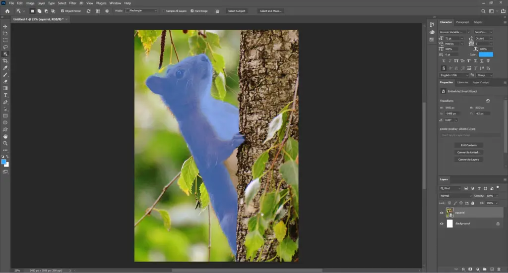 photoshop user interface